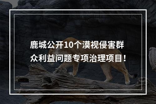 鹿城公开10个漠视侵害群众利益问题专项治理项目！