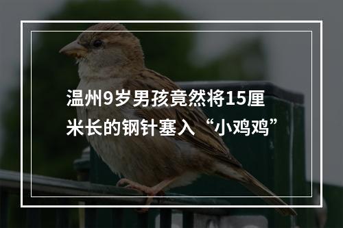 温州9岁男孩竟然将15厘米长的钢针塞入“小鸡鸡”