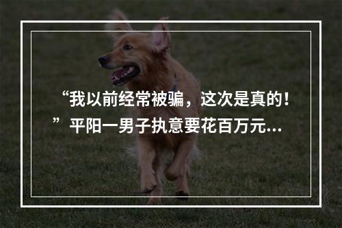 “我以前经常被骗，这次是真的！”平阳一男子执意要花百万元投资！就因为一段网上...