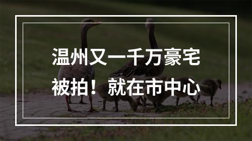 温州又一千万豪宅被拍！就在市中心