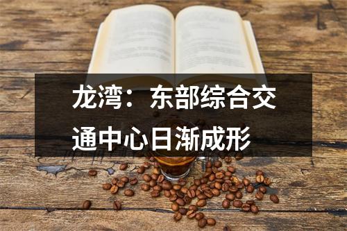 龙湾：东部综合交通中心日渐成形