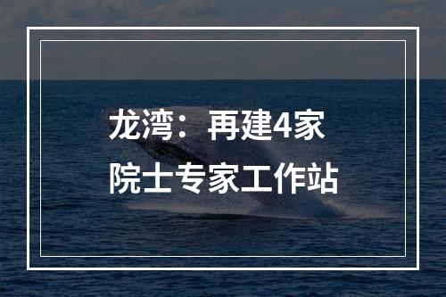 龙湾：再建4家院士专家工作站