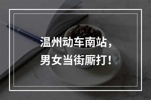 温州动车南站，男女当街厮打！