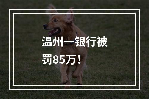 温州一银行被罚85万！