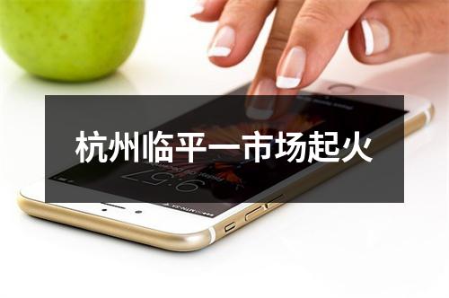 杭州临平一市场起火