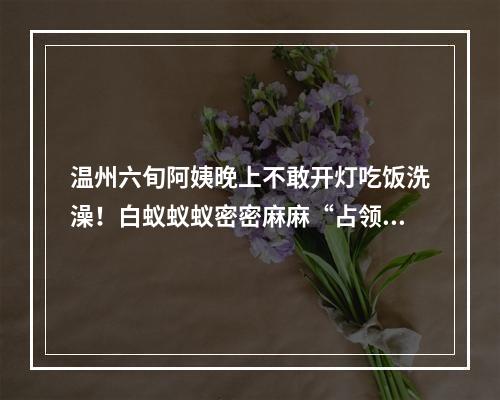 温州六旬阿姨晚上不敢开灯吃饭洗澡！白蚁蚁蚁密密麻麻“占领”老屋