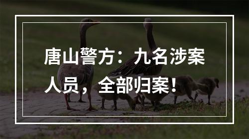 唐山警方：九名涉案人员，全部归案！