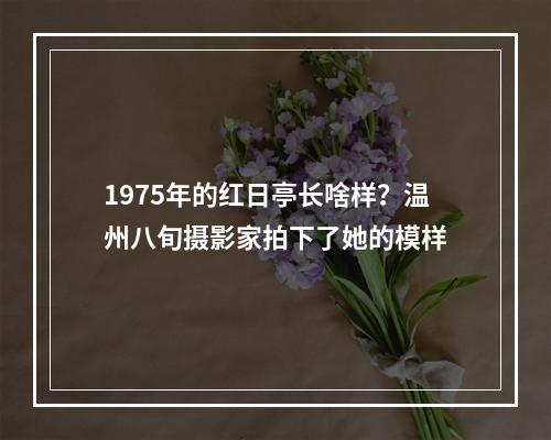 1975年的红日亭长啥样？温州八旬摄影家拍下了她的模样