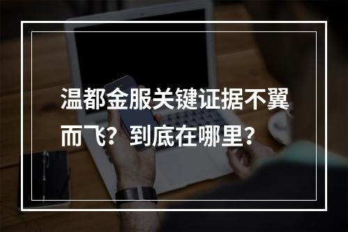 温都金服关键证据不翼而飞？到底在哪里？