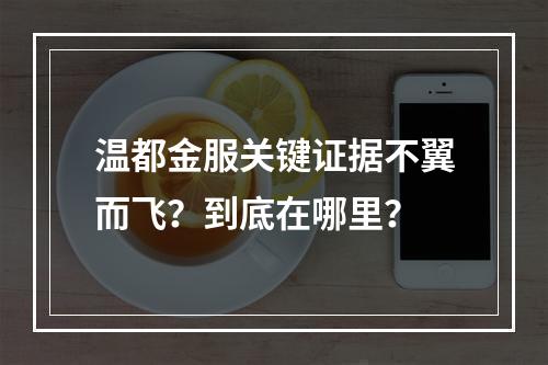 温都金服关键证据不翼而飞？到底在哪里？
