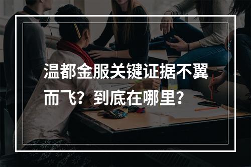 温都金服关键证据不翼而飞？到底在哪里？
