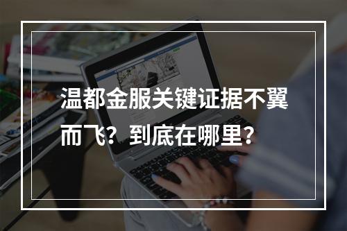 温都金服关键证据不翼而飞？到底在哪里？