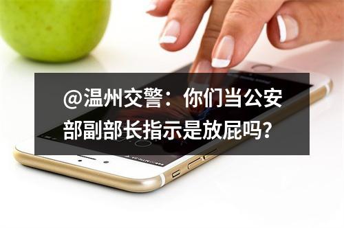 @温州交警：你们当公安部副部长指示是放屁吗？