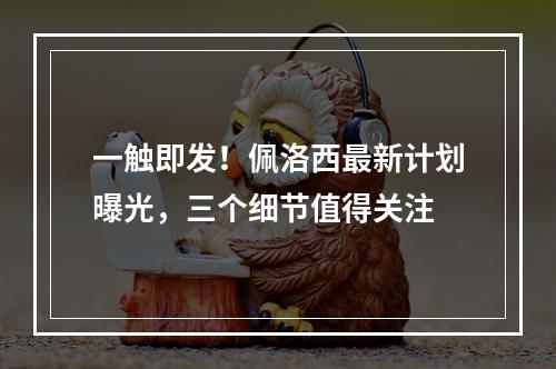 一触即发！佩洛西最新计划曝光，三个细节值得关注
