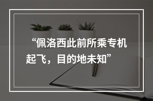 “佩洛西此前所乘专机起飞，目的地未知”