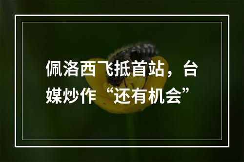 佩洛西飞抵首站，台媒炒作“还有机会”