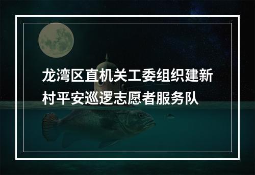 龙湾区直机关工委组织建新村平安巡逻志愿者服务队