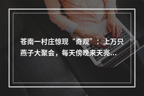 苍南一村庄惊现“奇观”：上万只燕子大聚会，每天傍晚来天亮走