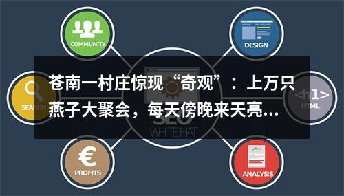 苍南一村庄惊现“奇观”：上万只燕子大聚会，每天傍晚来天亮走