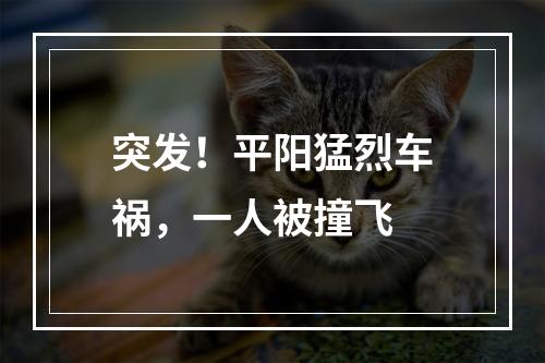 突发！平阳猛烈车祸，一人被撞飞