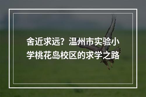 舍近求远？温州市实验小学桃花岛校区的求学之路