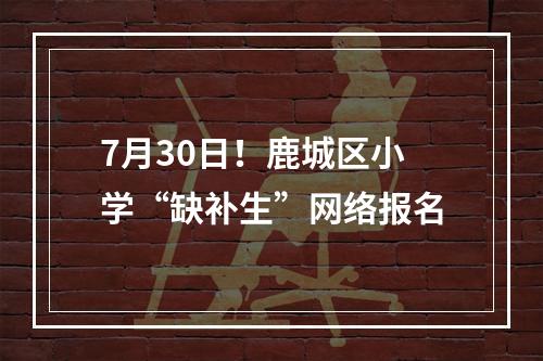 7月30日！鹿城区小学“缺补生”网络报名