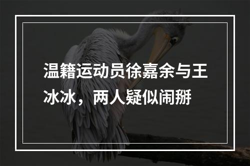 温籍运动员徐嘉余与王冰冰，两人疑似闹掰