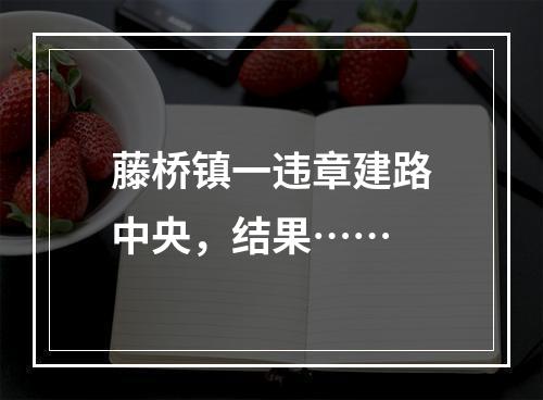 藤桥镇一违章建路中央，结果……