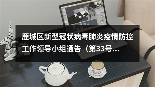 鹿城区新型冠状病毒肺炎疫情防控工作领导小组通告（第33号)