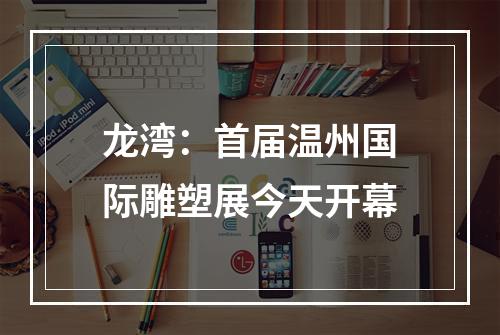 龙湾：首届温州国际雕塑展今天开幕