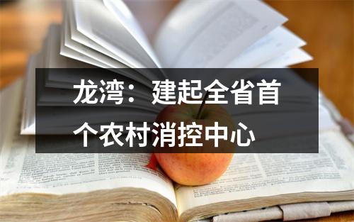 龙湾：建起全省首个农村消控中心