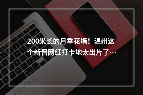 200米长的月季花墙！温州这个新晋网红打卡地太出片了…