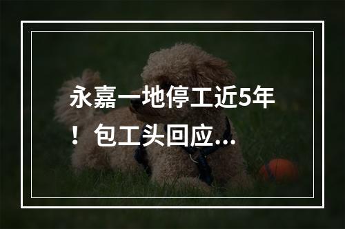 永嘉一地停工近5年！包工头回应...