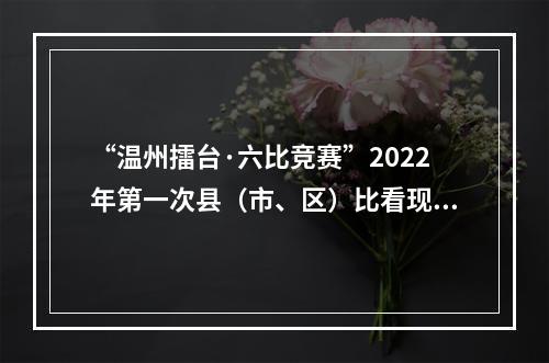 “温州擂台·六比竞赛”2022年第一次县（市、区）比看现场会举行