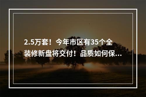 2.5万套！今年市区有35个全装修新盘将交付！品质如何保证？