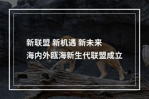 新联盟 新机遇 新未来 海内外瓯海新生代联盟成立