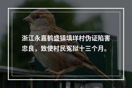 浙江永嘉鹤盛镇填垟村伪证陷害忠良，致使村民冤狱十三个月。