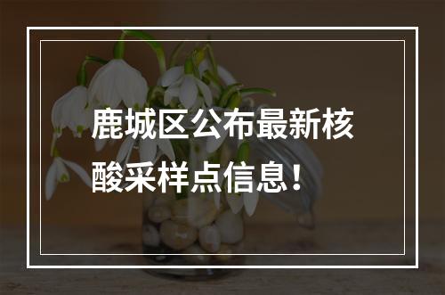 鹿城区公布最新核酸采样点信息！