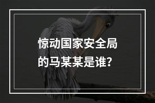 惊动国家安全局的马某某是谁？