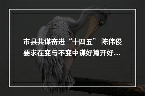 市县共谋奋进“十四五” 陈伟俊要求在变与不变中谋好篇开好局