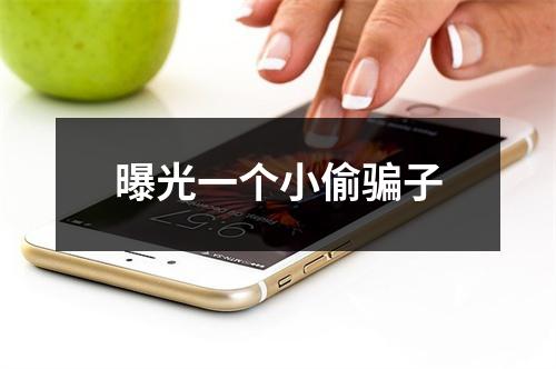 曝光一个小偷骗子