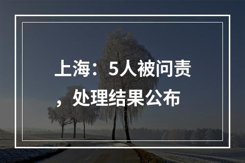 上海：5人被问责，处理结果公布