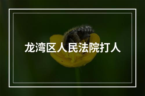 龙湾区人民法院打人