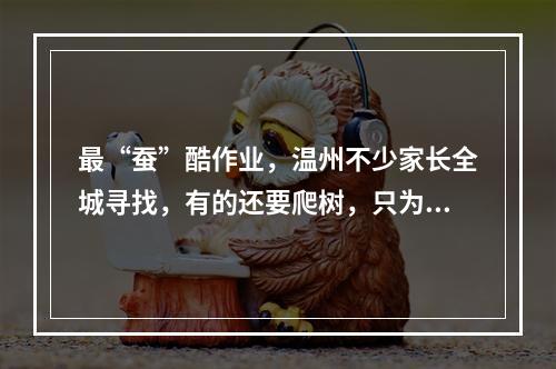 最“蚕”酷作业，温州不少家长全城寻找，有的还要爬树，只为了……