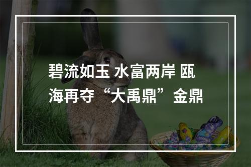 碧流如玉 水富两岸 瓯海再夺“大禹鼎”金鼎