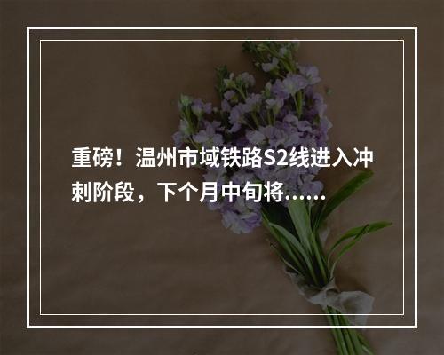 重磅！温州市域铁路S2线进入冲刺阶段，下个月中旬将.....