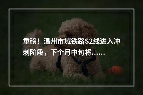 重磅！温州市域铁路S2线进入冲刺阶段，下个月中旬将.....