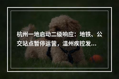 杭州一地启动二级响应：地铁、公交站点暂停运营，温州疾控发布紧急提醒