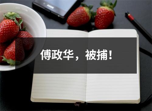 傅政华，被捕！