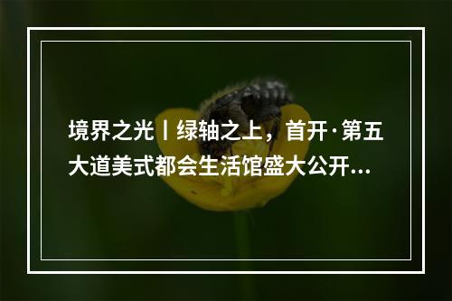 境界之光丨绿轴之上，首开·第五大道美式都会生活馆盛大公开，惊艳温州